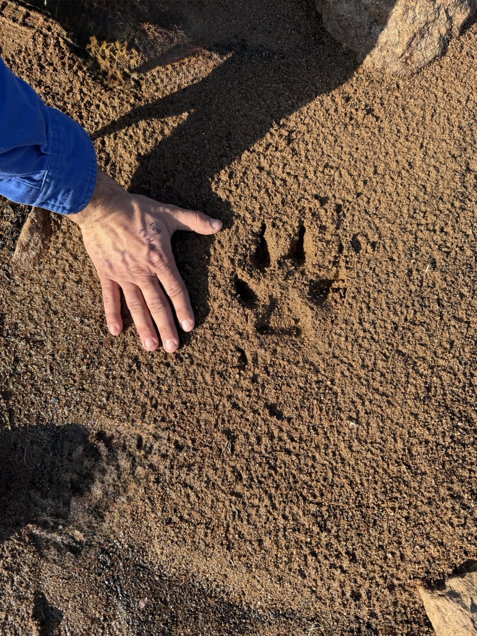 Overnight East Arm Fishing Trip - Image 30