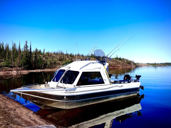 2 Hour Land and Water Tour - Image 6