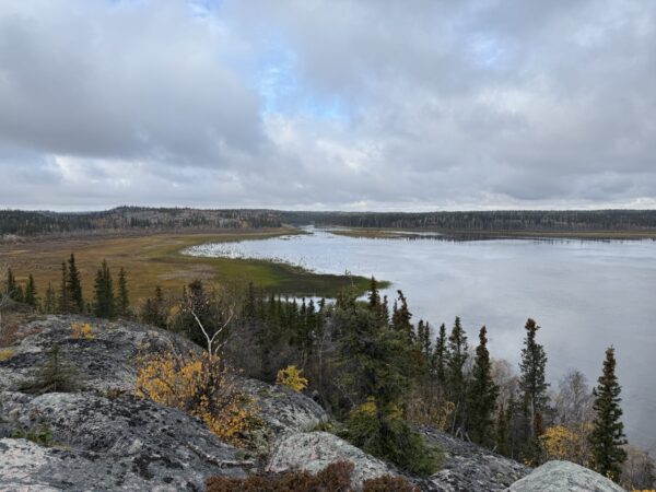2 Hour Land and Water Tour - Image 15